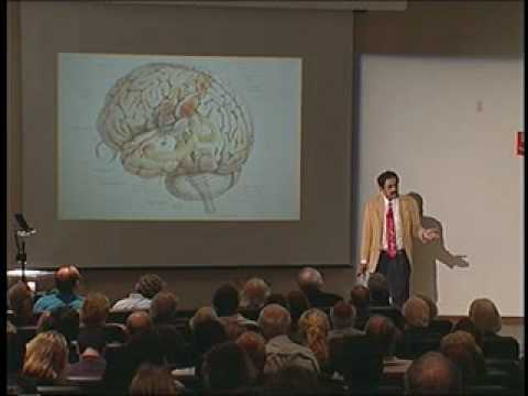 40/40 Vision Lecture: Neurology and the Passion for Art