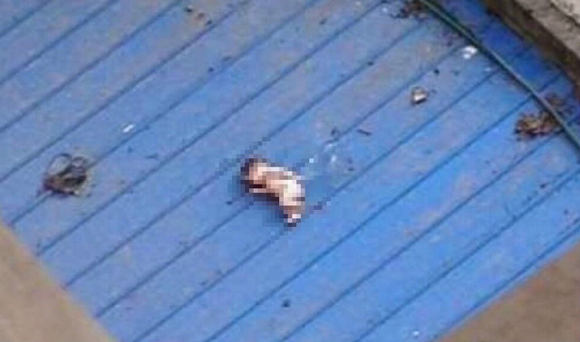 Abandoned newborn baby found dead atop roof in Sichuan, netizens angry and appalled