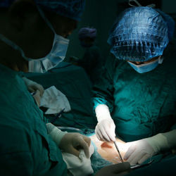 _Shanghai scientists successfully develop bio-artificial liver from skin cells