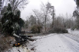 An electrical transformer and cables burn and fallen trees block a road during a winter storm around Greenville and Travelers Rest, South Carolina, Jan. 22, 2016.