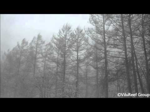 Snowstorm 60 min/Nature Sounds Winter