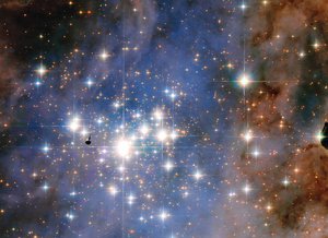 Resembling an opulent diamond tapestry, this image from NASA’s Hubble Space Telescope shows a glittering star cluster that contains a collection of some of the brightest stars seen in our Milky Way galaxy.