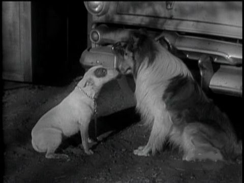 Lassie - Episode #28 - "The Pit" - Season 2, Ep. 2 (09/18/1955)