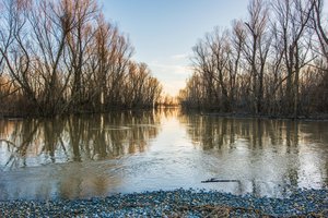 File - Flood waters rise over a road way near East Prairie, Missouri, Jan. 2, 2016.