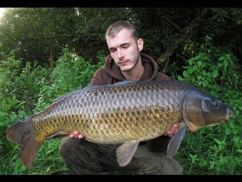 Catching Carp Over Silt Using PVA Foam At Wallys Lake