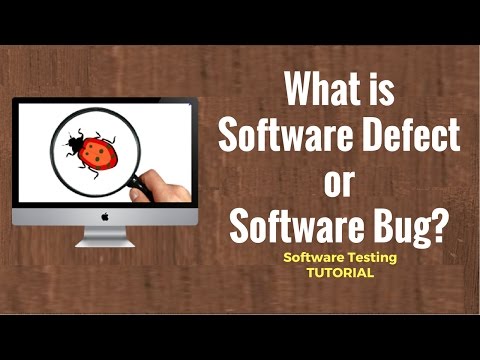 Software Testing Tutorial 22.: What is a Defect ?