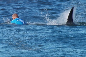 Mick Fanning flees from a great white shark.