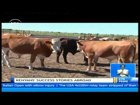 Daring Abroad: Kenyan beef farmers in Botswana