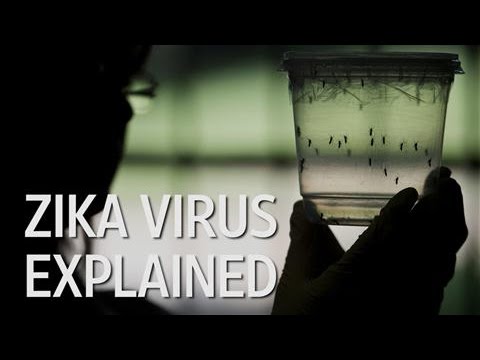 What Is the Zika Virus?