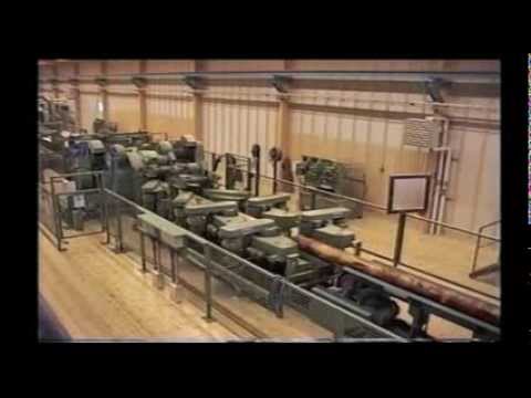 Big swedish export sawmill