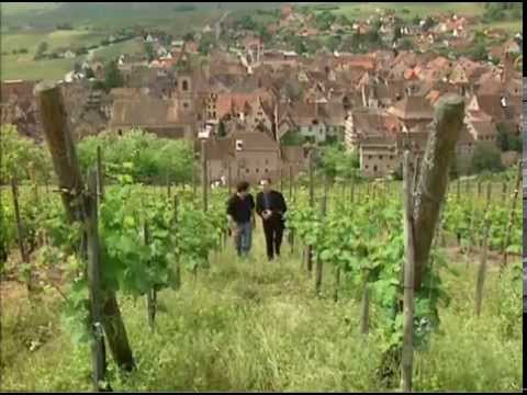 Discover the Wines of Alsace, France