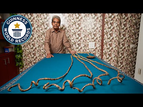 Longest fingernails on a single hand (ever) - Guinness World Records