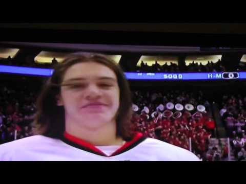 2015 Minnesota State High School All Hockey Hair Team