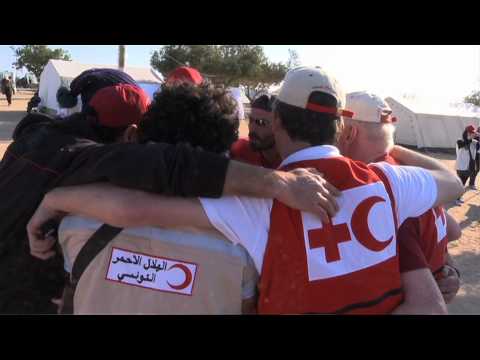 IFRC Head of Emergency Operations (HEOps)