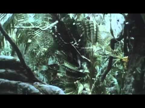 Predator (1987) Trailer (Arnold Schwarzenegger, Carl Weathers and Kevin Peter Hall)