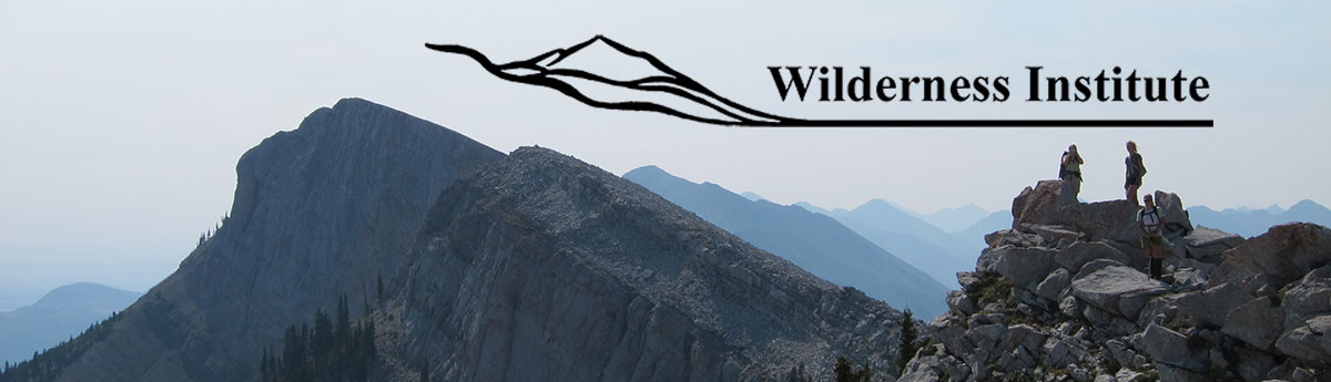 Study wilderness and public lands conservation at the University of Montana