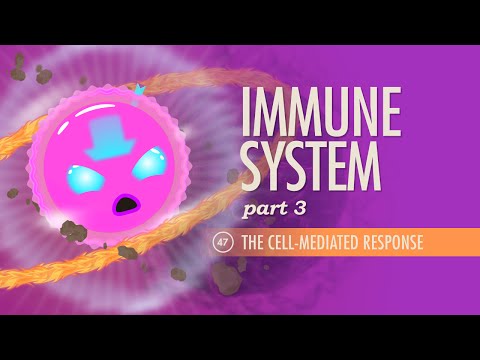 Immune System, part 3: Crash Course A&P #47