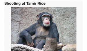 How Wikipedia Looked After Tamir Rice News Broke