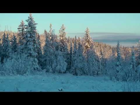 Västermark Nature Reserve, Västerbotten County, Sweden