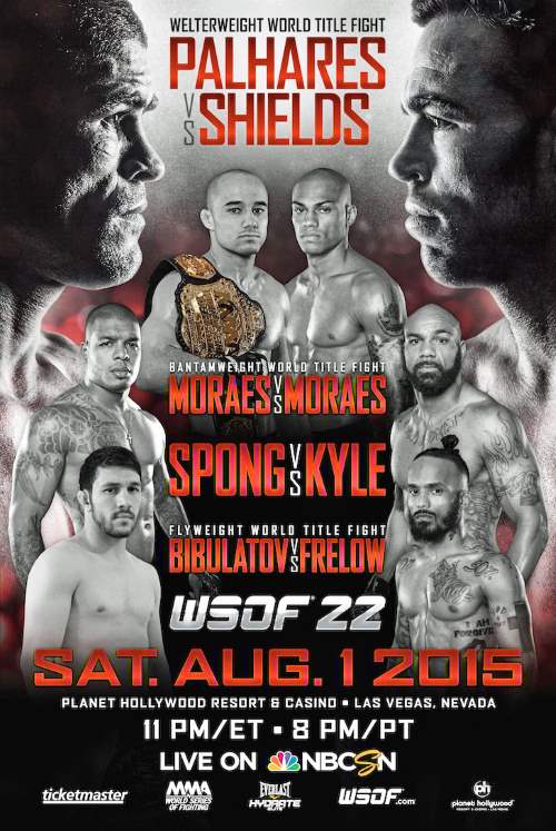 WSOF_22_poster