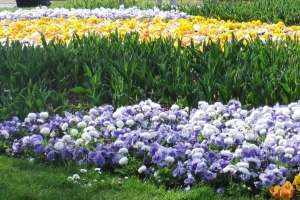 Erholungspark Marzahn Garten der Welt.