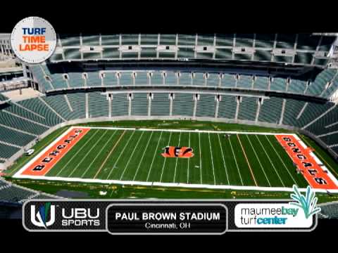 Paul Brown Stadium -Cincinnati Bengals field installation