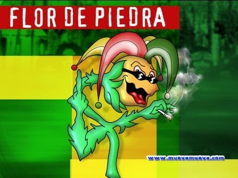 Flor De Piedra Los Mejores Temas