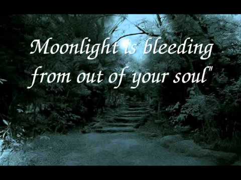 Lazarus- Porcupine Tree (Lyrics)