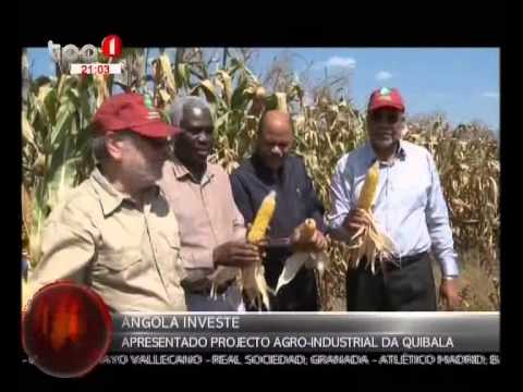 Apresentado projecto agro-industrial da Quibala pelo programa “Angola Investe”