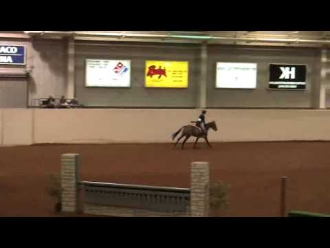 Video of QUIBALA ridden by BRITTANY ALBRECQ from ShowNet!