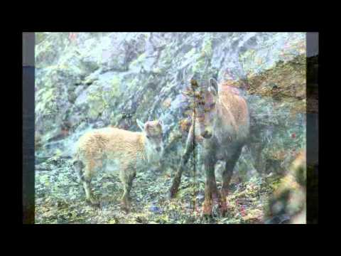 Gran Paradiso National Park - Parco nazionale del Gran Paradiso