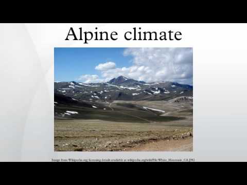 Alpine climate