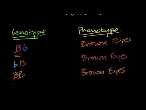 Introduction to Heredity