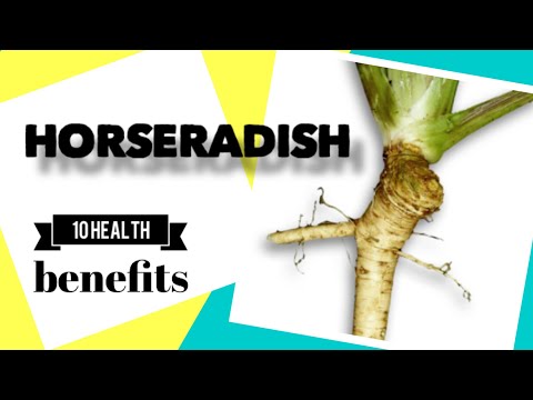 10 Health Benefits of Horseradish | Herbal Medicine