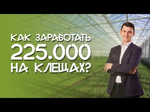 Как заработать 225 000 рублей на клещах? || Бизнес молодость.