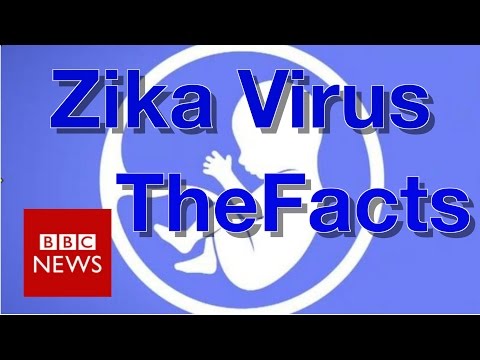 Zika virus: What you need to know - BBC News