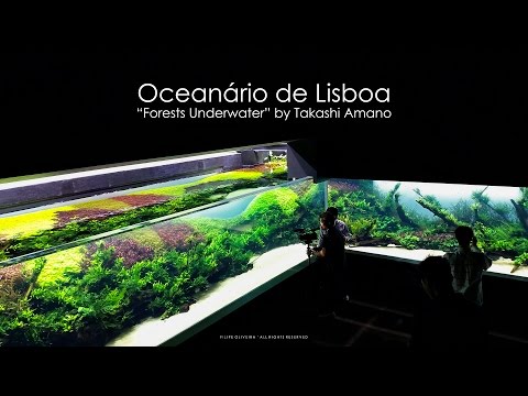 Grand Opening - Forests Underwater by Takashi Amano (Lisbon Oceanarium)