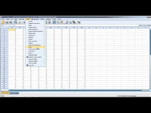 SPSS: VIDEO TUTORIAL IBM SPSS STATISTICS | CURSO DE SPSS | MANUAL DEL PROGRAMA SPSS