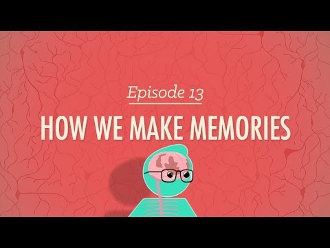 How We Make Memories - Crash Course Psychology #13