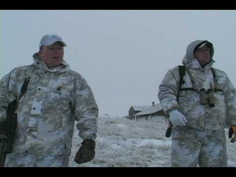 Long Range Coyote 502 Yards with.204 Ruger