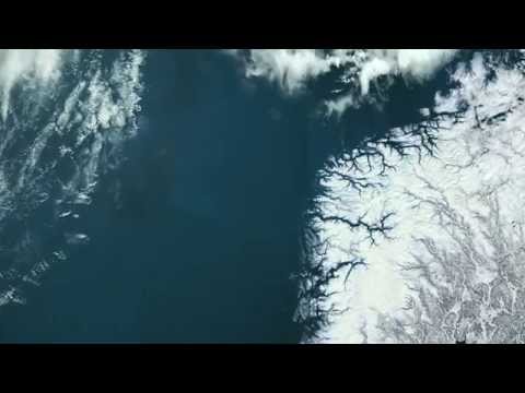 Phytoplankton - excerpt from Planet Ocean the movie