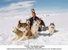 Eight Below (2006) photo