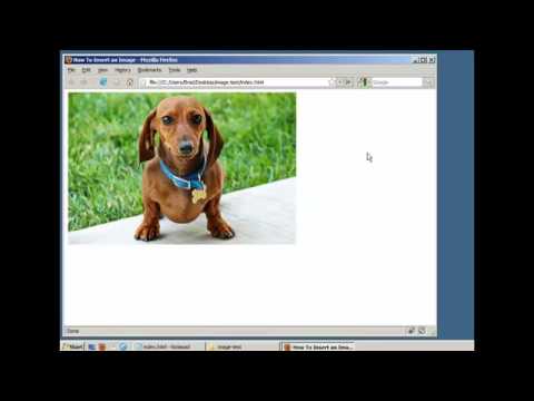 How to Insert an Image in a Webpage (HTML / XHTML)