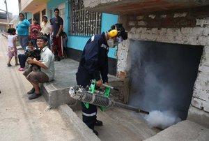 A health worker fumigates against the Aedes aegypti mosquito, a vector of the Dengue, Chikunguya and Zika viruses, inside a house in Lima, Peru, Friday, Jan. 29, 2016.