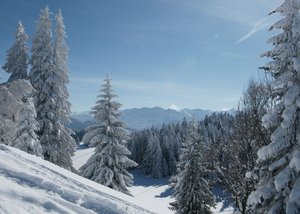 Snow Bregenzerwald is one of the main regions in the state of Vorarlberg, Austria. Geologically, the Bregenzerwald is a mountain range of the Northern Limestone Alps, specifically the northern flysch zone.