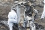 Police investigators pick over the wreckage of the car, which crashed 50 metres off the EJ Whitten Bridge in Melbourne ...