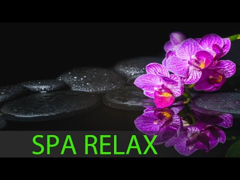 8 HOURS Best Relaxing Music: Spa Music, Massage, Zen, Healing Music, Yoga Music, Resting ☯349