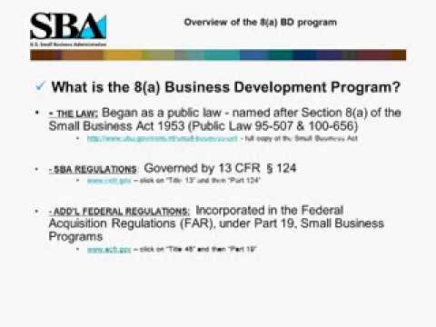 Webinar- Not Just Contracts: The SBA's 8(a) Business Development Program