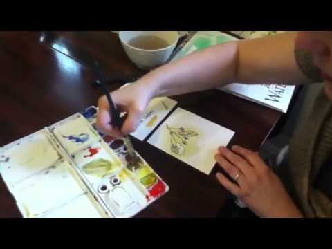 Adding watercolor to your nature journal