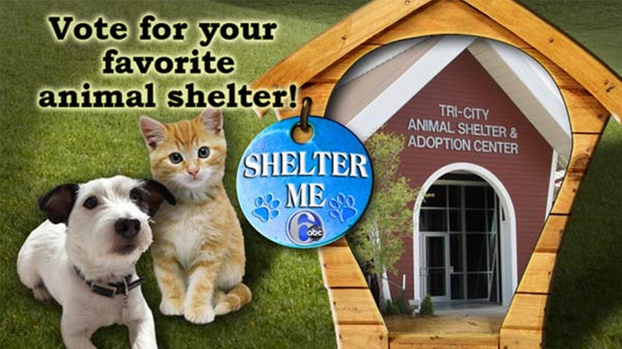 Vote for your favorite animal shelter on the Action News Facebook page!